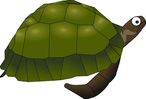 Clipart turtle pond turtle, Clipart turtle pond turtle Transparent FREE for download on ...