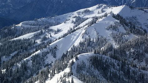 Petition · Keep The Hurricane Ridge Road In Olympic National Park Open 7 Days A Week Throughout