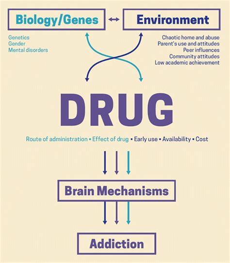 What Is Drug Addiction