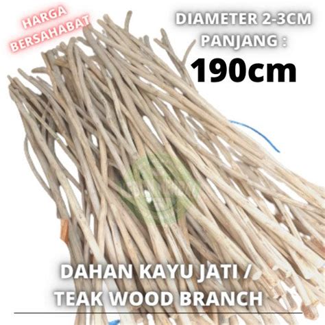 Jual Dahan Ranting Kayu Jati 190cm Macrame Teak Wood Branch Di Lapak