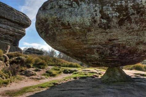 45 Unusual Oddities Found In Nature Amazing Nature Photos Amazing