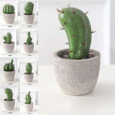 Plastic planter, homenote 7/6/5.5/4.5/3.5 inch flower pot indoor modern decorative plastic pots for plants with drainage hole and tray for all house plants, succulents, flowers, and cactus, black. Fake Christmas Cactus Plant - Christmas Day