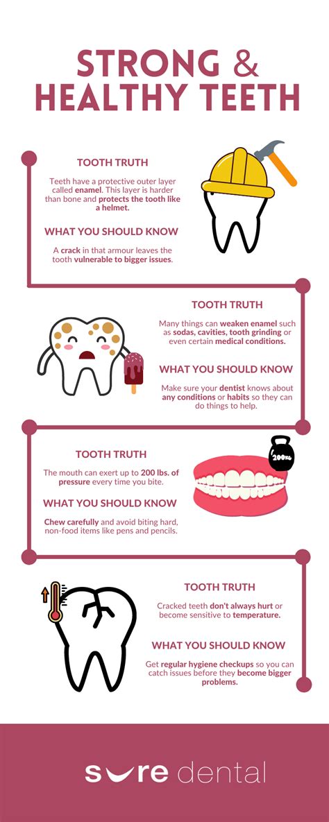 Strong And Healthy Teeth Infographic Sure Dental
