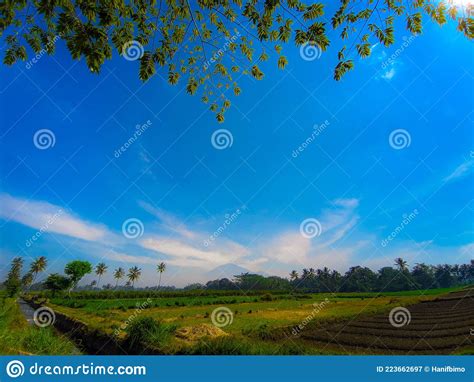 Mount View In The Morning Field Photograph Stock Image Image Of