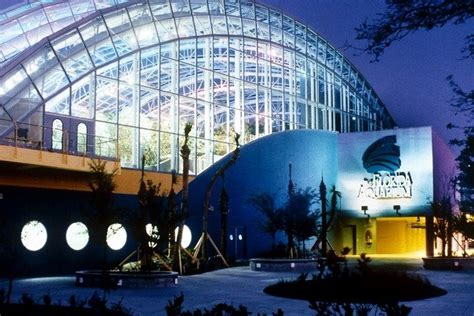 Florida Aquarium Is One Of The Very Best Things To Do In Tampa