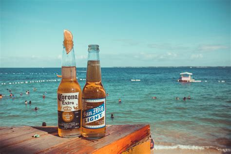 Free Images Drink Beer Sea Liqueur Alcoholic Beverage Sky Ocean