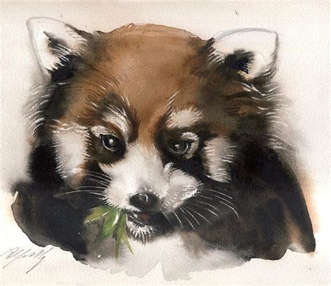 Red Panda Painting By Alfred Ng Fine Art America