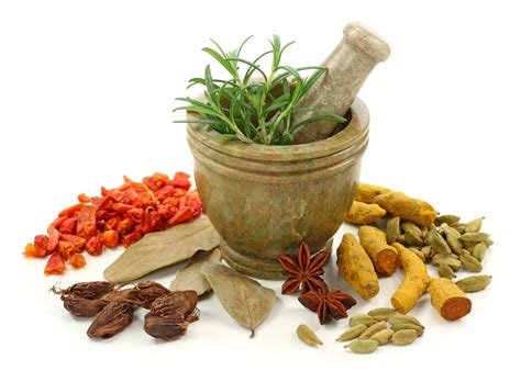 ~ Herb And Medicinal Plant Profiles