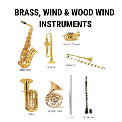 Brass Wind And Wood Wind Instruments