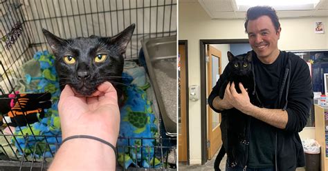 Seth Macfarlane Adopts Cat From Rescue He Helped Create