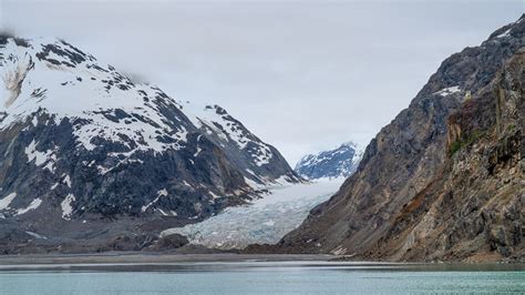 More Glacier Bay Journeys On A Trawler