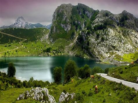 Enol Lake In Picos De Europa Asturias Northern Spain Asturias