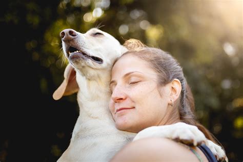 8 Signs Youre Not Showing Your Dog Enough Affection 2023