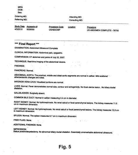 X Ray Report Template 11 Templates Example Report Template
