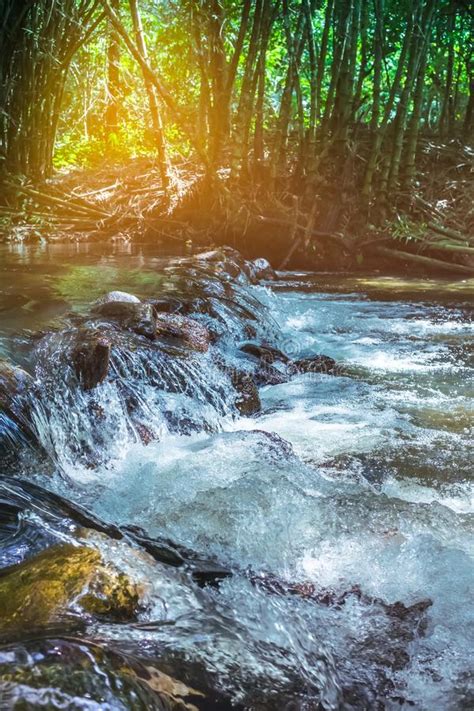 Waterfall River Flow From Forest Landscape Serenity Nature Back Stock