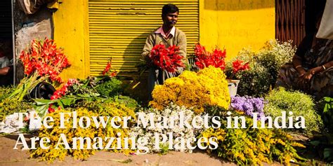 Best Flower Market In India Best Flower Site