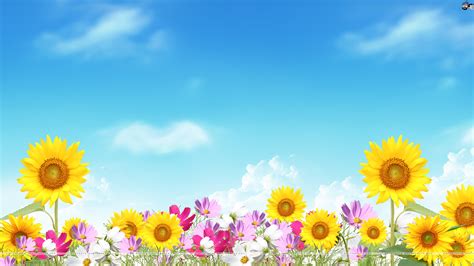 You can also upload and share your favorite summer flower wallpapers. Summer Flower Backgrounds - WallpaperSafari