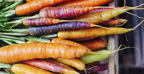 Five Root Vegetables You Need to Know About | WW Canada