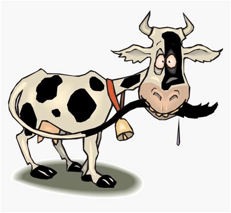 Clipart Funny Cow Hd Png Download Kindpng