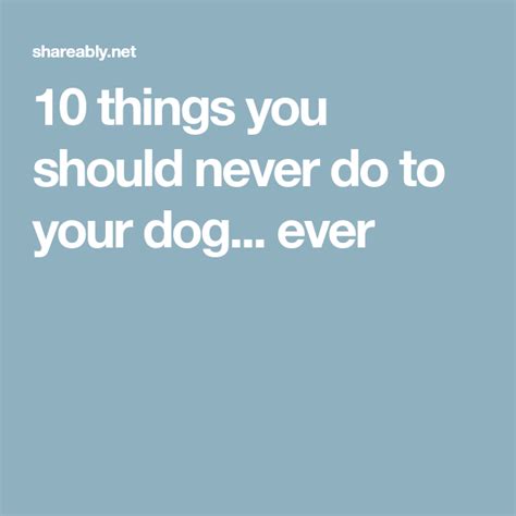 10 Things You Should Never Do To Your Dog Ever Buy A Dog Sahm Pet