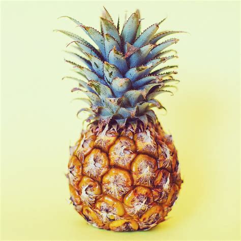 pineapple / yellow | Pineapple, Pineapple yellow, Pineapple art