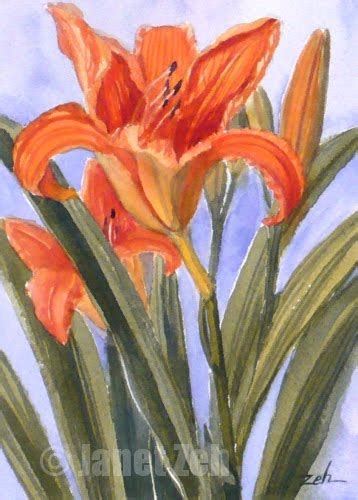 Zeh Original Art Blog Watercolor And Oil Paintings Orange Daylilies
