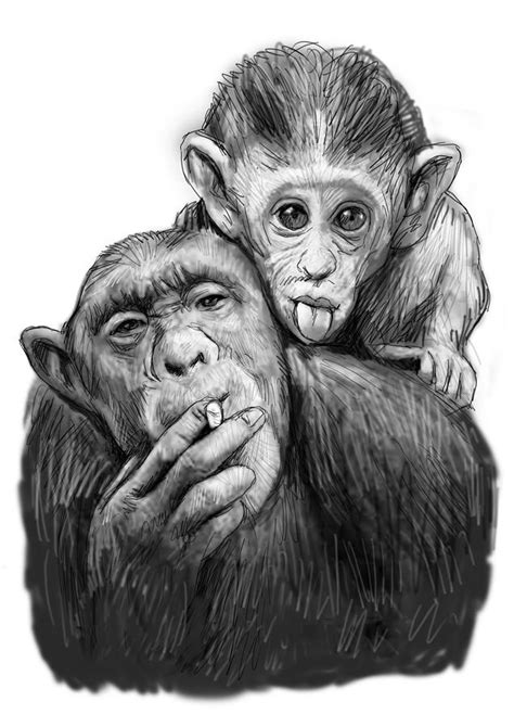 Monkey Mum With Son Drawing Sketch Painting By Kim Wang