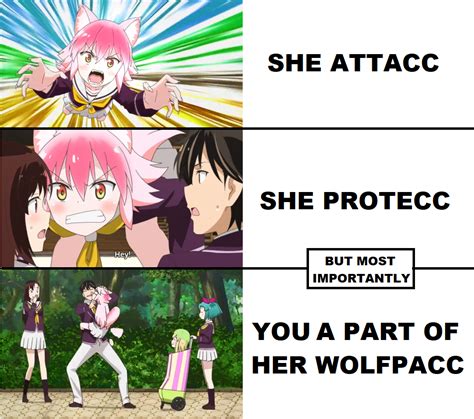Ranka Best Wolf Pup He Protec But He Also Attac Know Your Meme