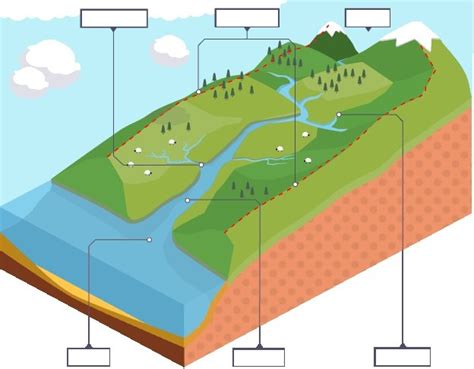 Drainage Basin Diagram Quizlet