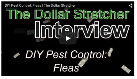Check spelling or type a new query. Do-It-Yourself Pest Control: Fleas | Diy pest control, Pest control, Fleas