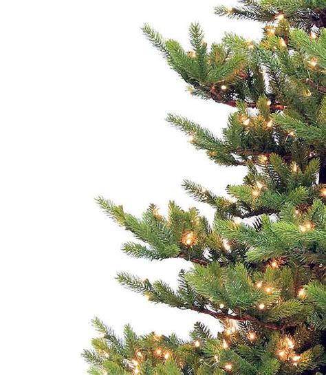 New Haven Fir Artificial Christmas Trees Treetime