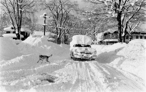 Scene From A Snow Storm In Oswego New York That Dropped Over 6 Feet