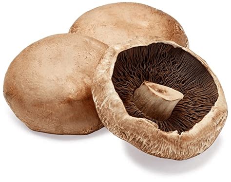 Check spelling or type a new query. Mushrooms Portobello | Moshims mmk