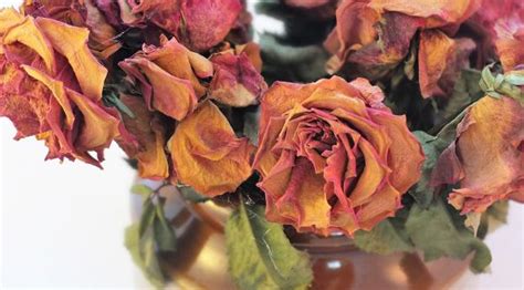 2880x1800 Roses Bouquet Dry Macbook Pro Retina Wallpaper Hd Flowers
