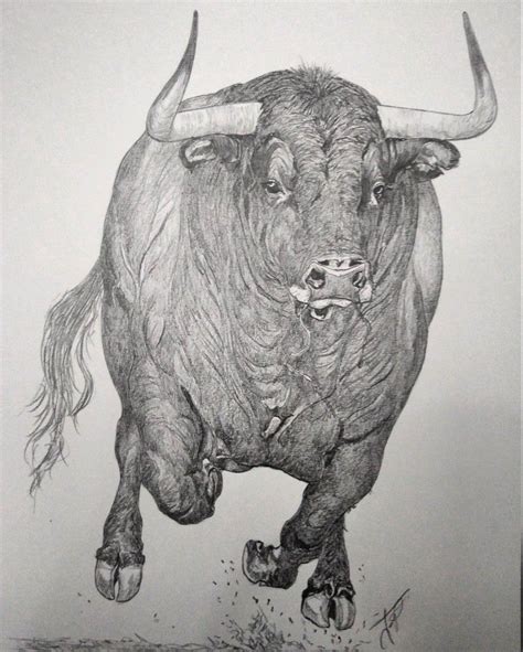 Animal Drawings Pencil Drawings Pencil Sketch Sketch Book Whiskey