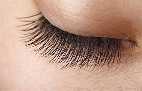 eye lashes play a crucial role in that dramatic and sexy look that we all yearn for here are
