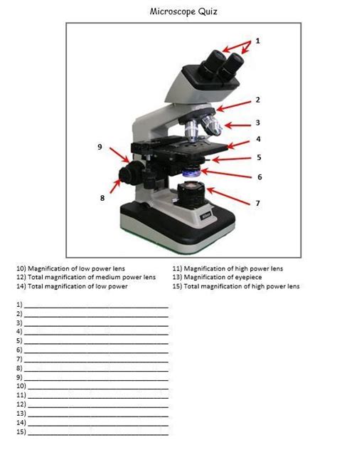Microscope Use Worksheet