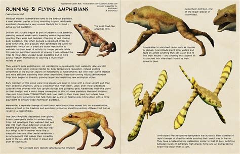 Running And Flying Amphibians Speculative Evolution Wiki Fandom