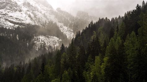 Snow Covered Mountain Near Pine Trees At Daytime Nature Forest