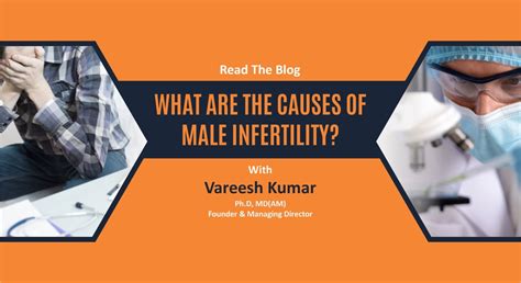 What Are The Causes Of Male Infertility Vardaan Medical Centre