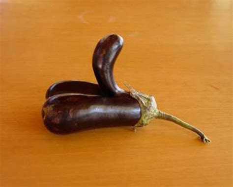 Fruits And Vegetables That Look Like Sexy Body Parts Gallery Ebaum S World