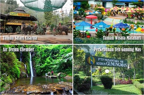 Tempat Wisata Favorit Di Kawasan Puncak Bogor Kanal Wisata Indonesia
