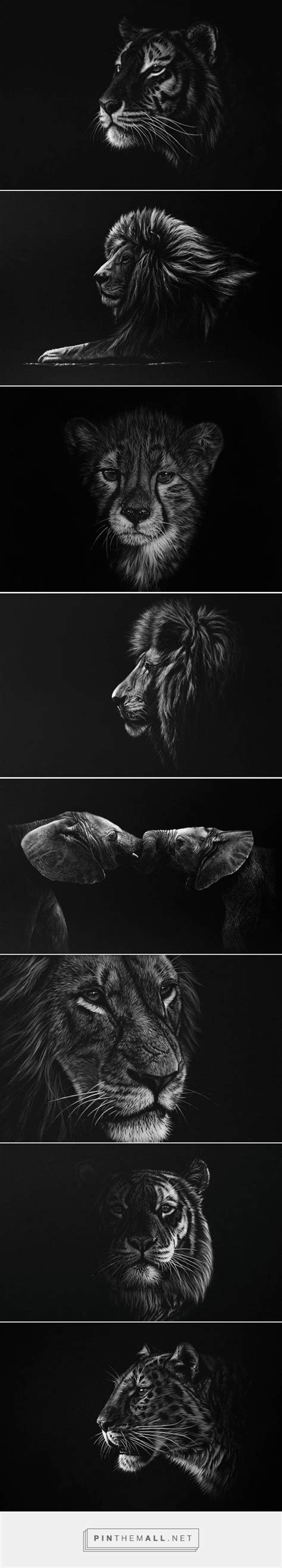 Stunning Realistic Wildlife White On Black Drawings Fubiz Media