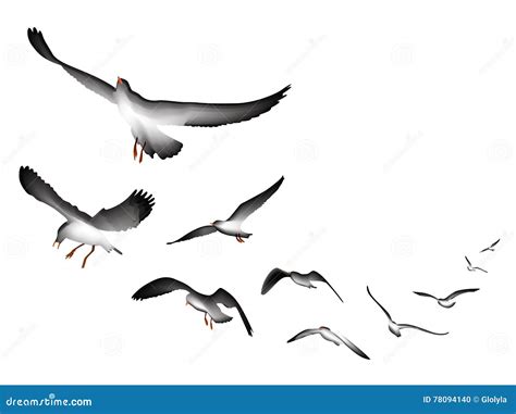 Flying Seagulls Stock Vector Illustration Of Nature 78094140