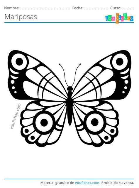 Dibujos Para Pintar Mariposas Para Colorear Dibujos De Mariposas