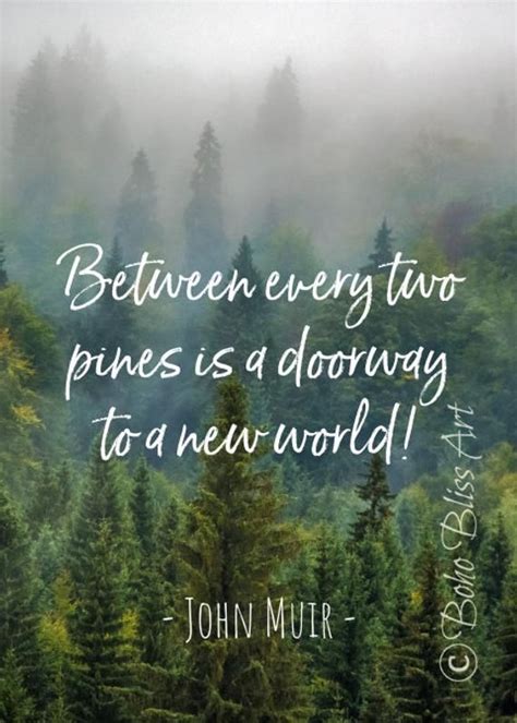 John Muir Quote Between Every Two Pine Trees There Is A Door Etsy