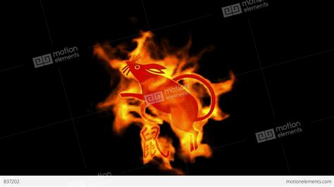 Chinese Zodiac Of Fire Rat And Handwriting Chinese Kanjichina