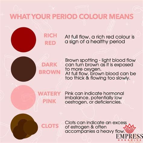 Brown Period Blood What Does It Mean Hot Sex Picture