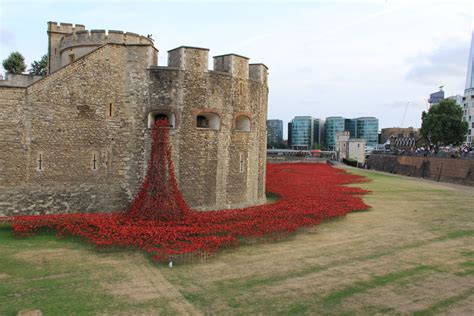 Remembrance Poppies At The Tower Of London Smithsonian Photo Contest