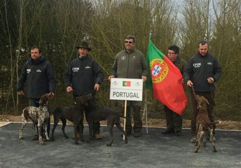 Maybe you would like to learn more about one of these? Campeonato do Mundo do Braco Alemão - Centro Pedagógico ...